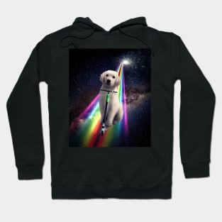 Space Galaxy Dog On Scooter Rainbow Hoodie